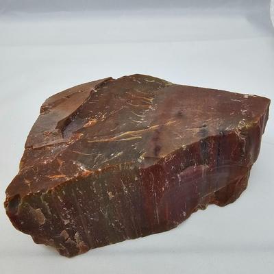 Petrified Wood Specimens (B1-JS