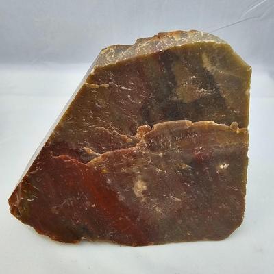 Petrified Wood Specimens (B1-JS