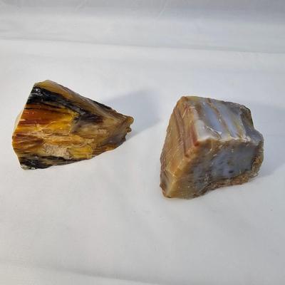Petrified Wood Specimens (B1-JS