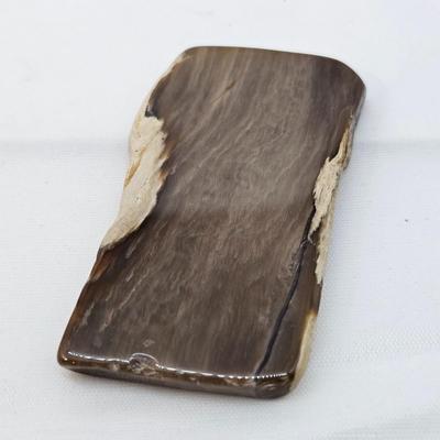 Petrified Wood Specimens (B1-JS