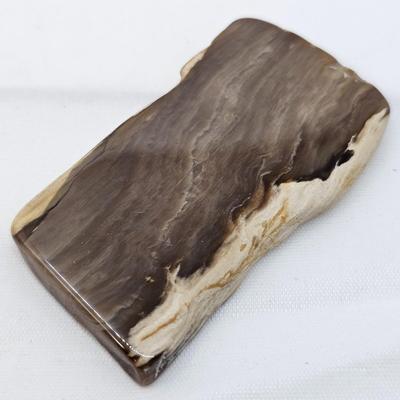 Petrified Wood Specimens (B1-JS