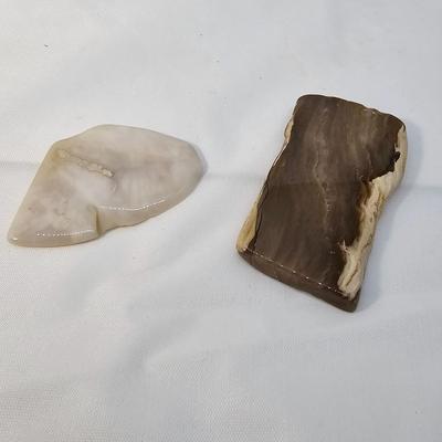 Petrified Wood Specimens (B1-JS