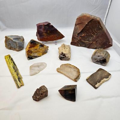 Petrified Wood Specimens (B1-JS