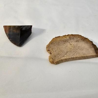 Petrified Wood Specimens (B1-JS