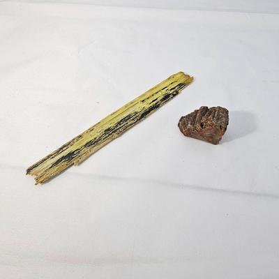 Petrified Wood Specimens (B1-JS