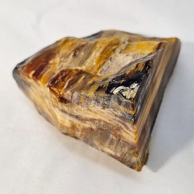 Petrified Wood Specimens (B1-JS
