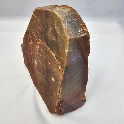 Petrified Wood Specimens (B1-JS