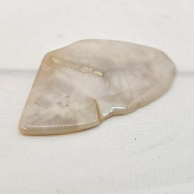 Petrified Wood Specimens (B1-JS