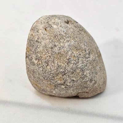 Fossilized Coral & More (B1-JS)