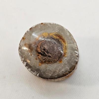 Fossilized Coral & More (B1-JS)