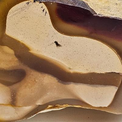 Assorted Agates & Jaspers (B1-JS)