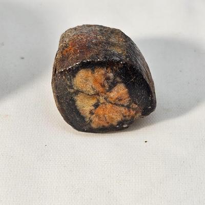 Assorted Agates & Jaspers (B1-JS)