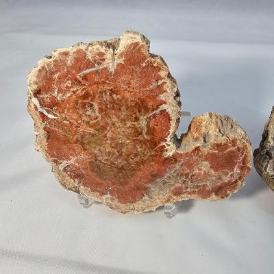 Rhyolite & Agate Slab Specimens (B1-JS)