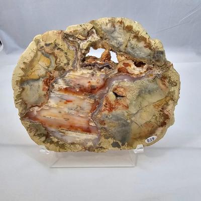 Rhyolite & Agate Slab Specimens (B1-JS)