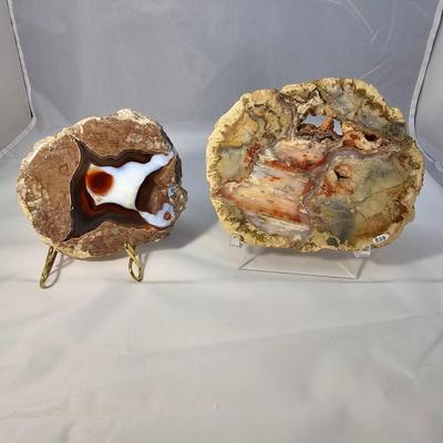 Rhyolite & Agate Slab Specimens (B1-JS)