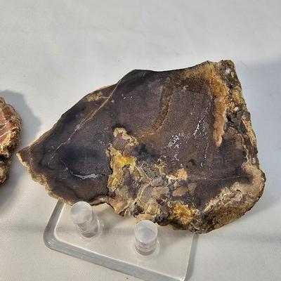 Rhyolite & Agate Slab Specimens (B1-JS)