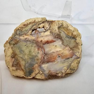 Rhyolite & Agate Slab Specimens (B1-JS)