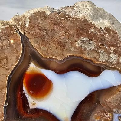 Rhyolite & Agate Slab Specimens (B1-JS)