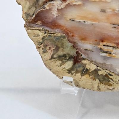 Rhyolite & Agate Slab Specimens (B1-JS)
