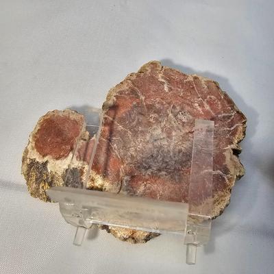Rhyolite & Agate Slab Specimens (B1-JS)