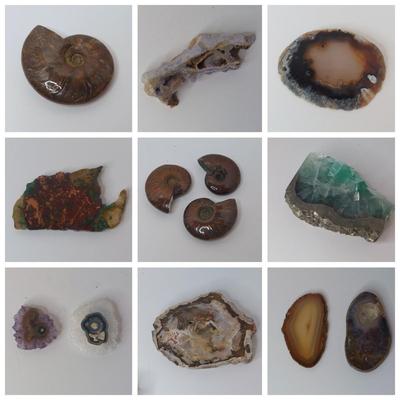 Collection of Agates and Ammonites (B1-BM)