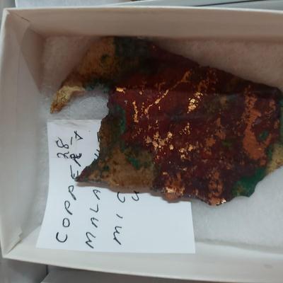 Collection of Agates and Ammonites (B1-BM)