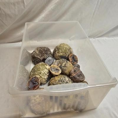 Cut & Polished Agate Nodules (B1-JS)