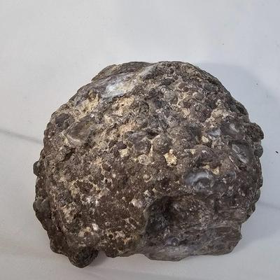 Cut & Polished Agate Nodules (B1-JS)