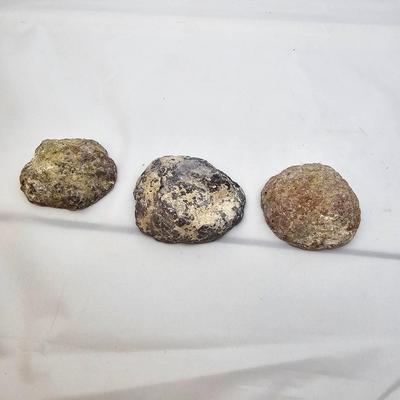 Cut & Polished Agate Nodules (B1-JS)