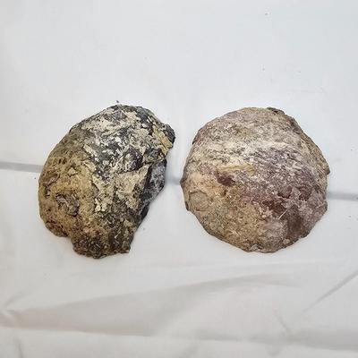 Cut & Polished Agate Nodules (B1-JS)