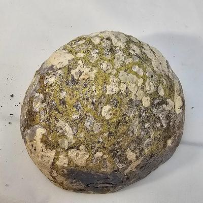 Cut & Polished Agate Nodules (B1-JS)