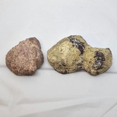 Cut & Polished Agate Nodules (B1-JS)