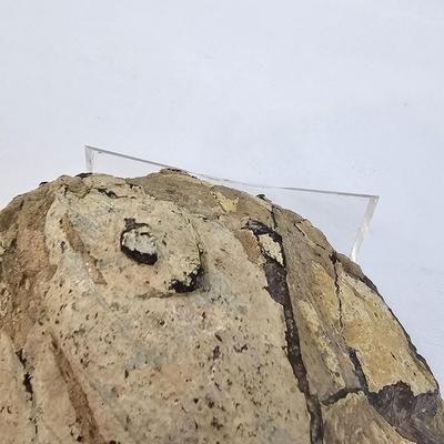 Face Polished Agates & More (B1-JS)