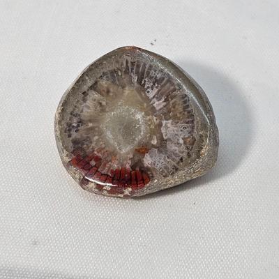 Face Polished Agates & More (B1-JS)