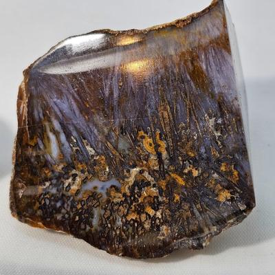 Face Polished Agates & More (B1-JS)