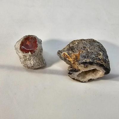 Face Polished Agates & More (B1-JS)