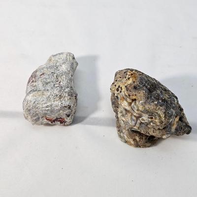 Face Polished Agates & More (B1-JS)