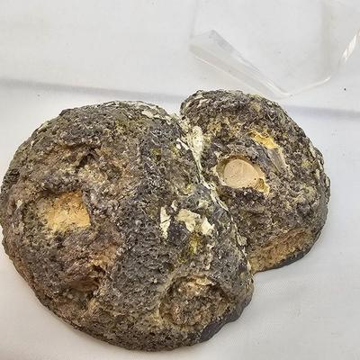 Face Polished Agates & More (B1-JS)