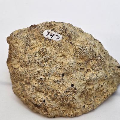 Face Polished Agates & More (B1-JS)