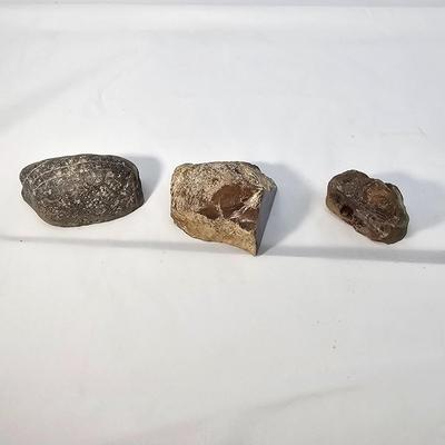 Face Polished Agates & More (B1-JS)