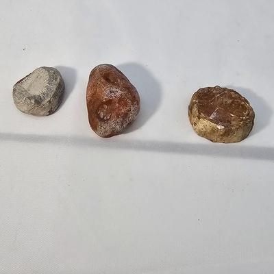 Face Polished Agates & More (B1-JS)