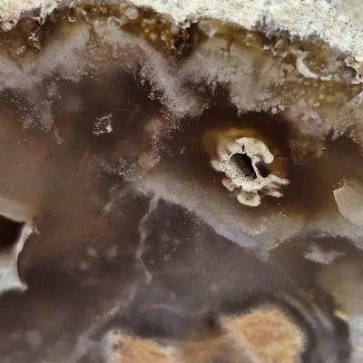 Face Polished Agates & More (B1-JS)