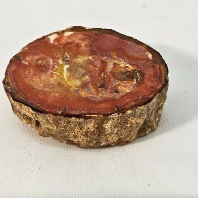 Face Polished Agates & More (B1-JS)