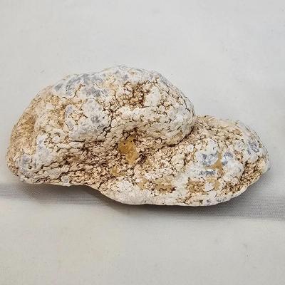 Bloodstone, Chert, Tree Agate & More (B1-JS)