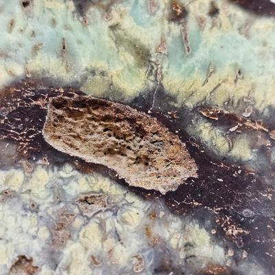 Bloodstone, Chert, Tree Agate & More (B1-JS)