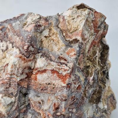 Bloodstone, Chert, Tree Agate & More (B1-JS)