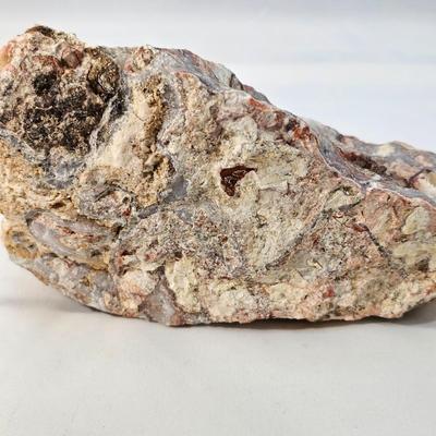 Bloodstone, Chert, Tree Agate & More (B1-JS)