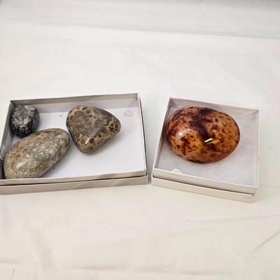 Polished Stones Including Carnelian, Lapis, Moonstone & More (B2-JS)