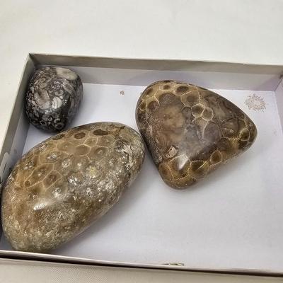 Polished Stones Including Carnelian, Lapis, Moonstone & More (B2-JS)