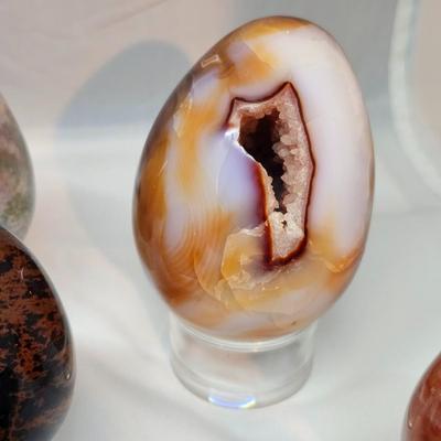Collection of Polished Stone Eggs & Stands (GB-JS)